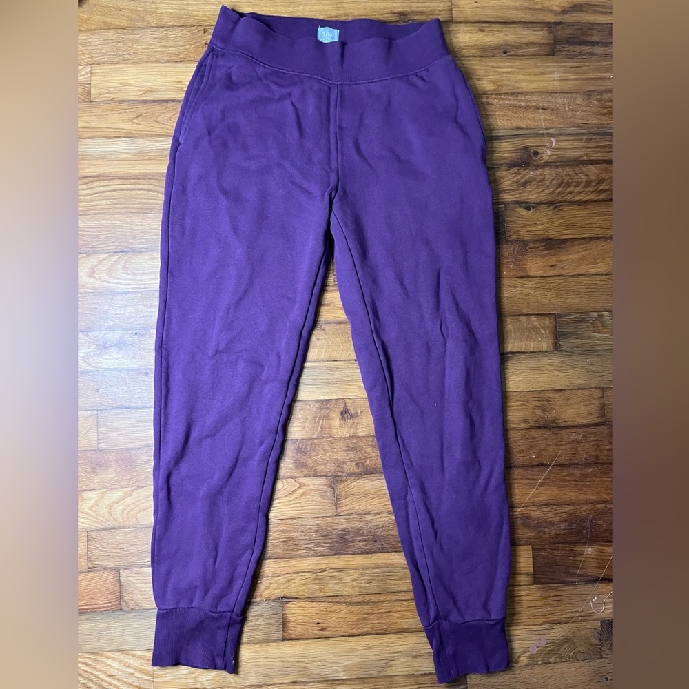 Women’s Aritzia/TNA Cozy AF Fleece Sweatpants Purple